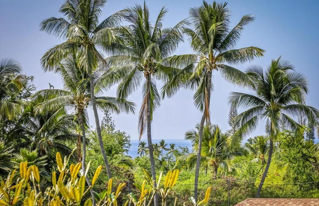 Keauhou Punahele#B-107-1